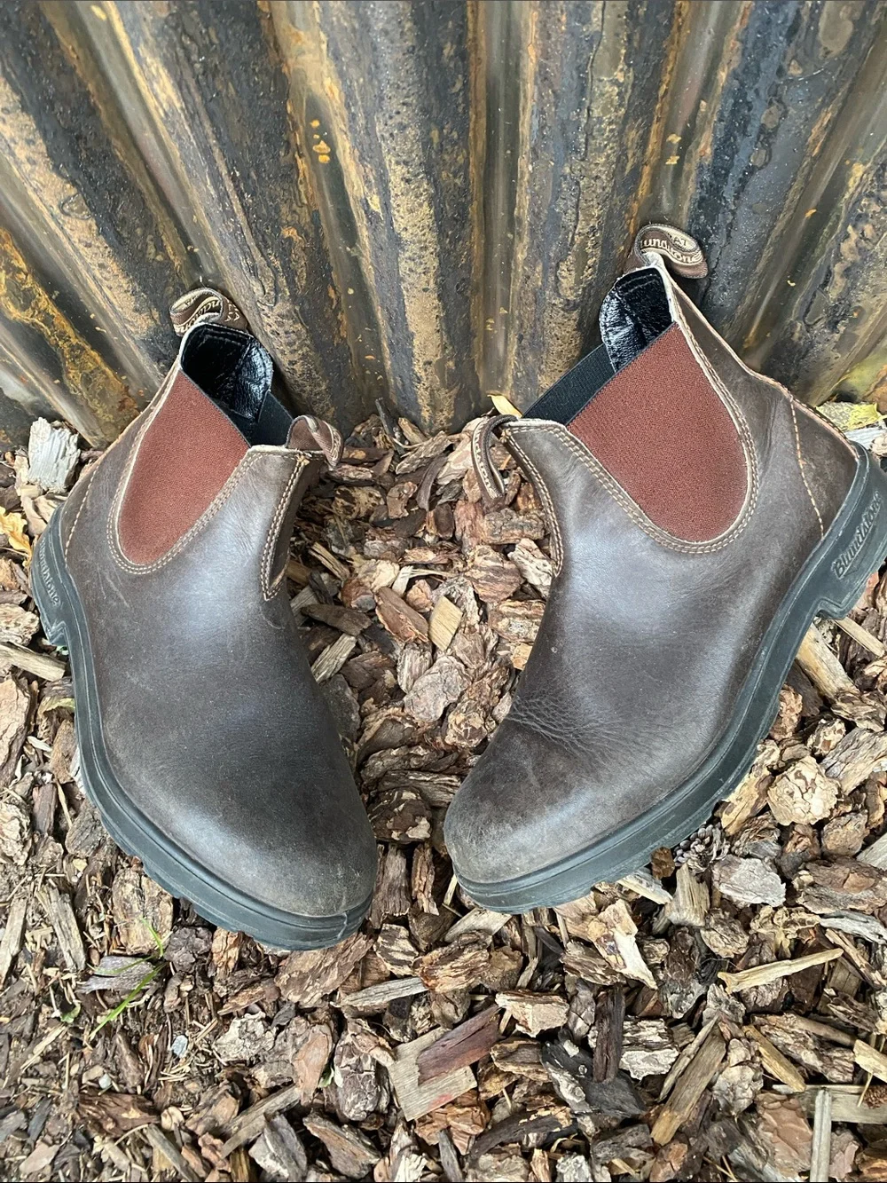 Blundstone classic chelsea